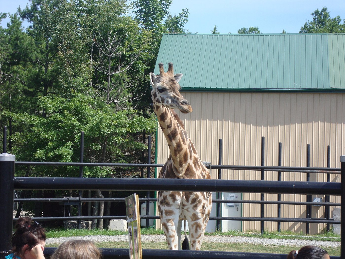 Safari Niagara — 15 min drive from The Vagabond 130